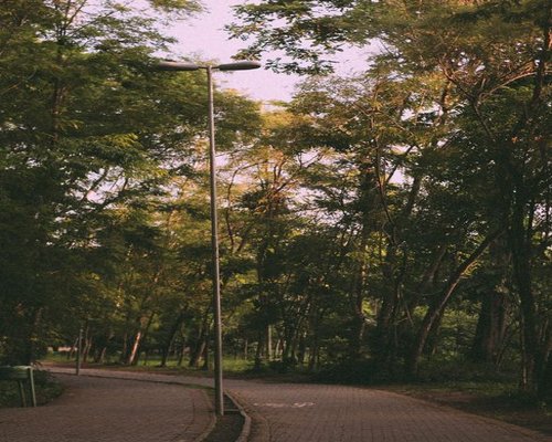 A peaceful city park pathway with lush green trees, ideal for a light evening walk