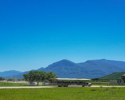 A modern public transport window view in Monterrey with natural soft scenery passing by